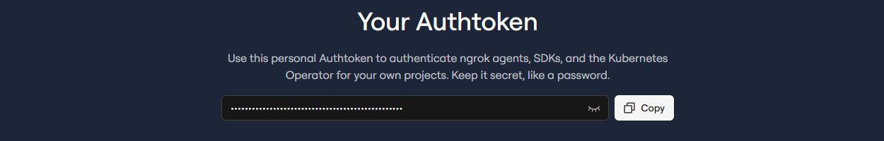 ngrok Your Authtoken 화면에서 토큰이 가려져 있고 Copy 단추가 보이는 모습